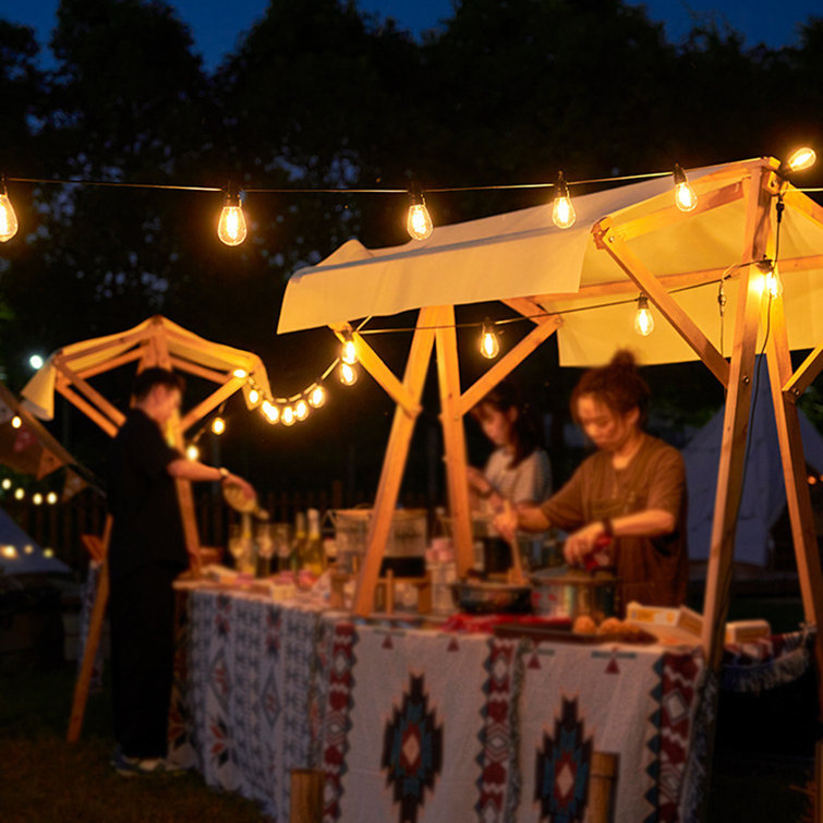 Arlmont & Co. Selenne 48ft 15 Bulbs Outdoor Plugin Christmas